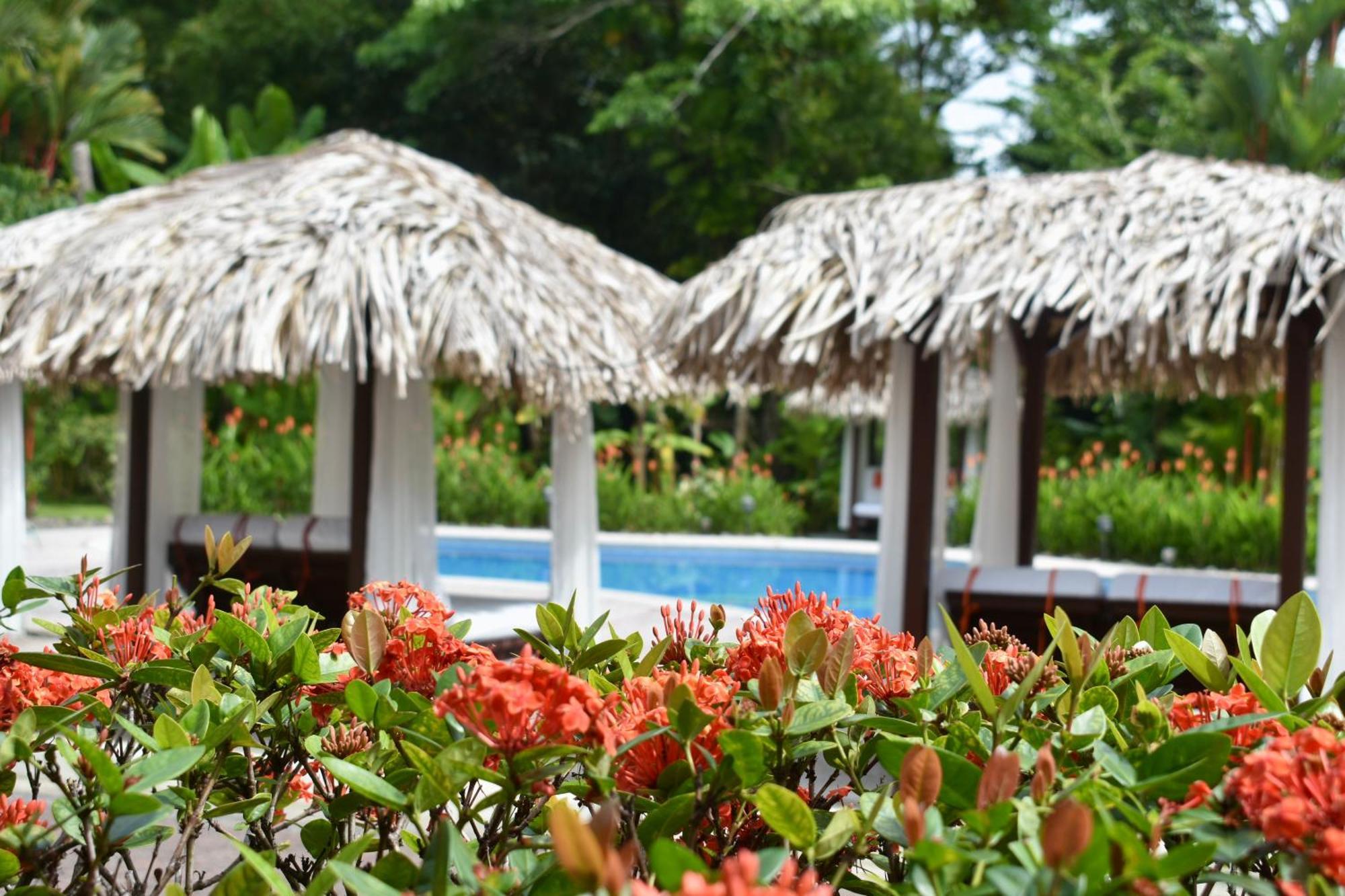 Hotel Playa Espadilla & Gardens Vườn quốc gia Vườn quốc gia Manuel Antonio Ngoại thất bức ảnh