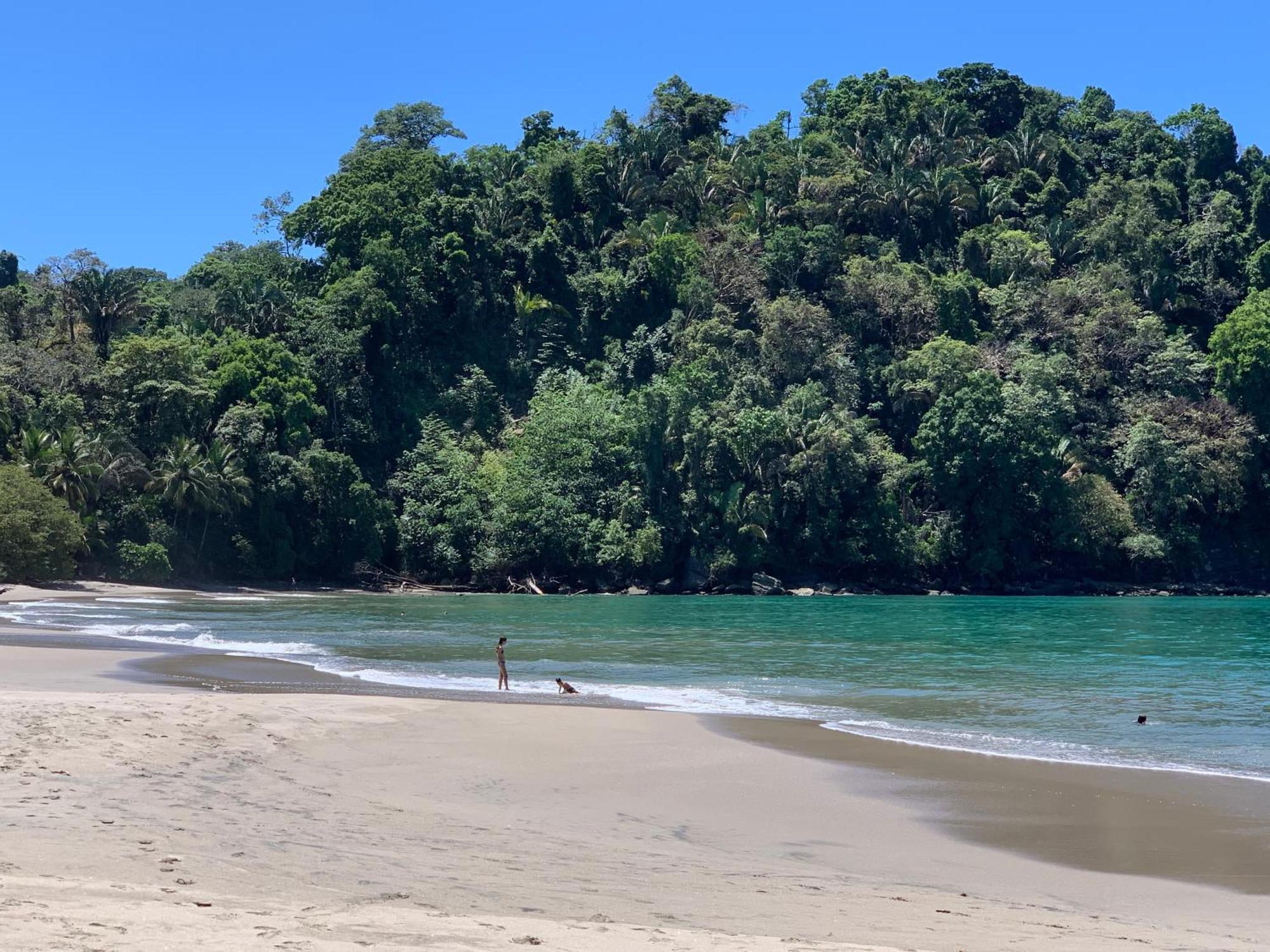 Hotel Playa Espadilla & Gardens Vườn quốc gia Vườn quốc gia Manuel Antonio Ngoại thất bức ảnh