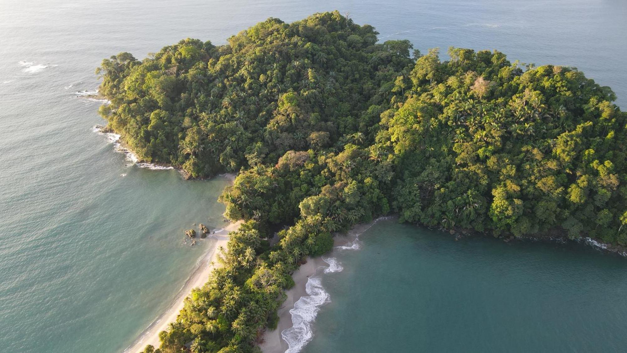Hotel Playa Espadilla & Gardens Vườn quốc gia Vườn quốc gia Manuel Antonio Ngoại thất bức ảnh